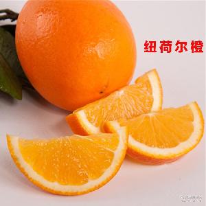 綠爾果汁 價格、型號與選購指南，助您品味新鮮水果零售的健康之選